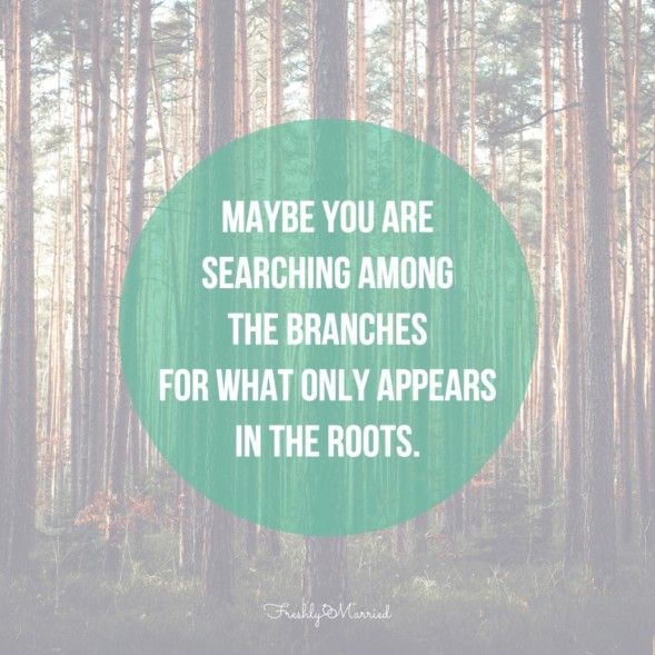 branches, roots, searching among the branches, searching among the roots, searching among the branches quote, searching among the roots quote, marriage quotes, marriage reminders, marriage help, my mistakes in marriage, marriage advice, marriage inspiration, anonymous quotes, 
